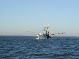 Shrimper in Sapelo Sound