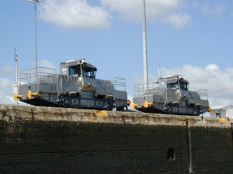Two 3rd generation 'mules'