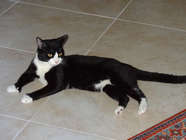 Ernie joins us in March 2012